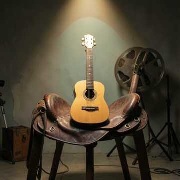 The Singing Cowboy