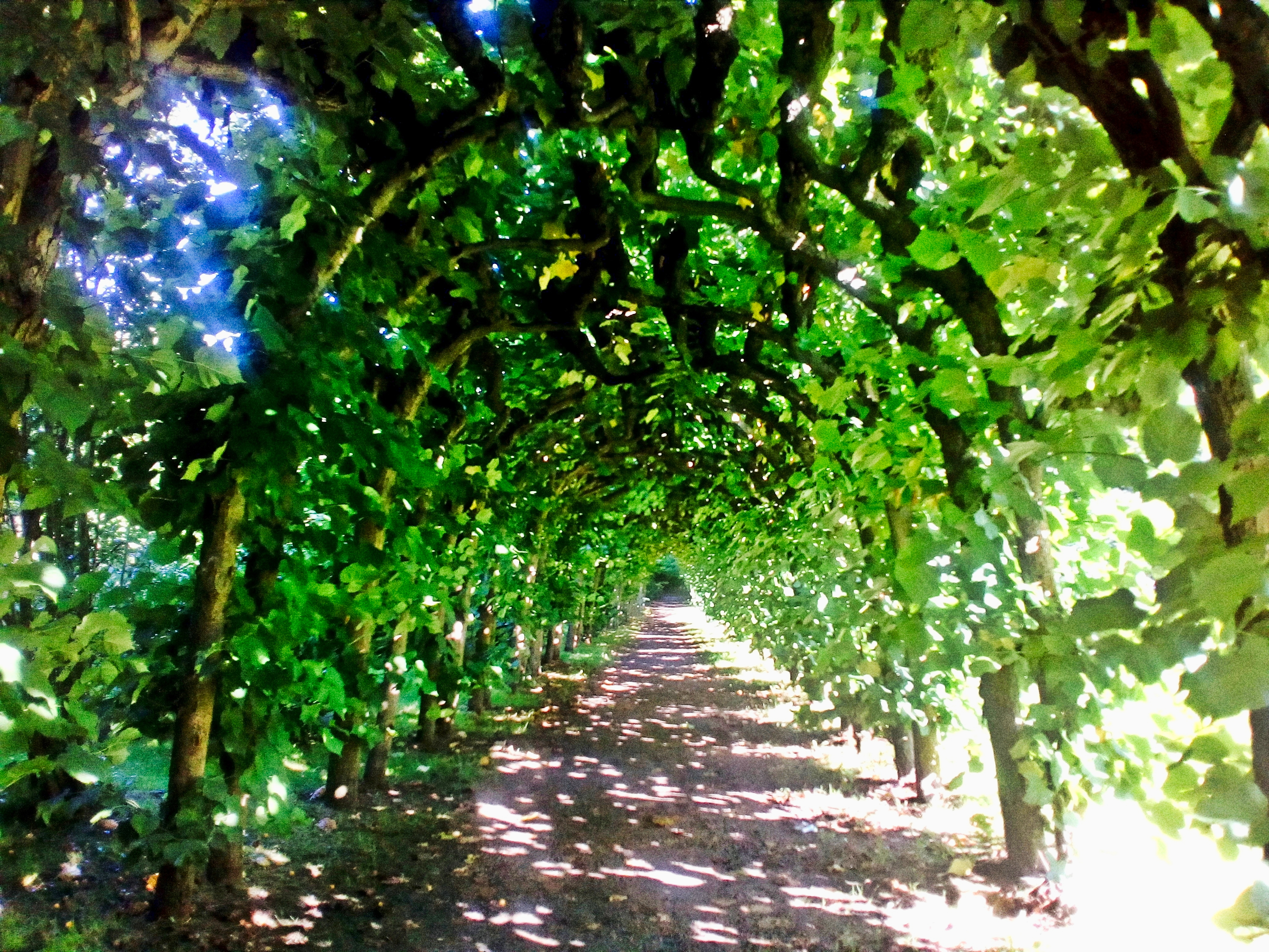 Path Of Emeralds
