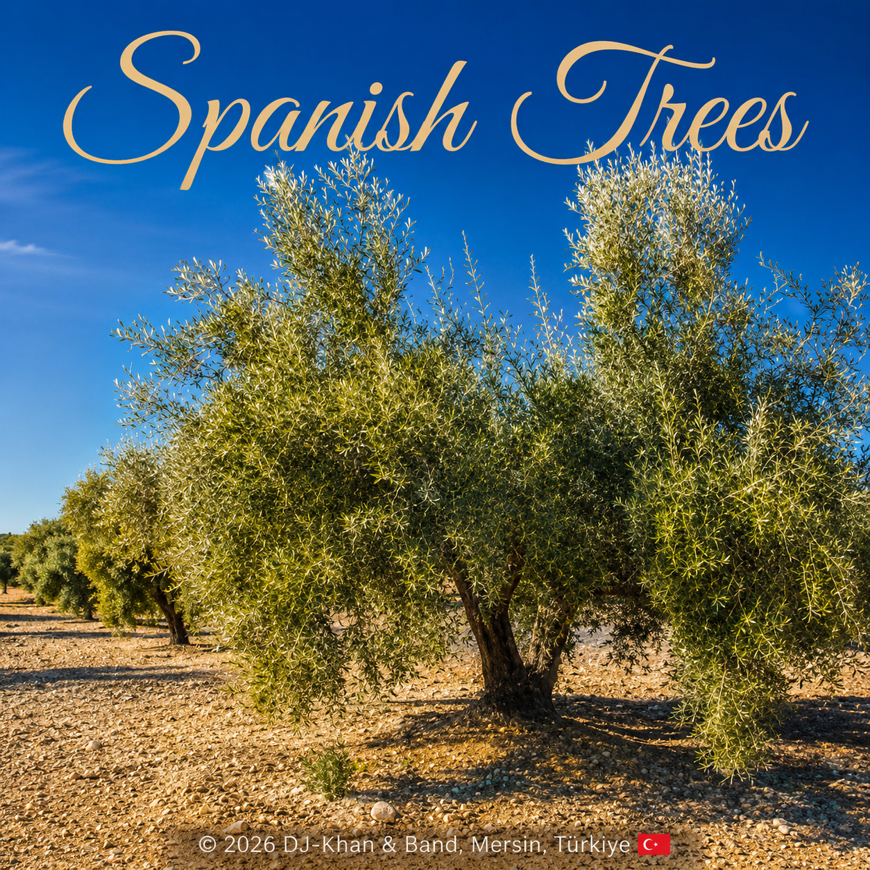 Spanish Trees